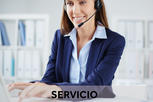 Garantía Oficial